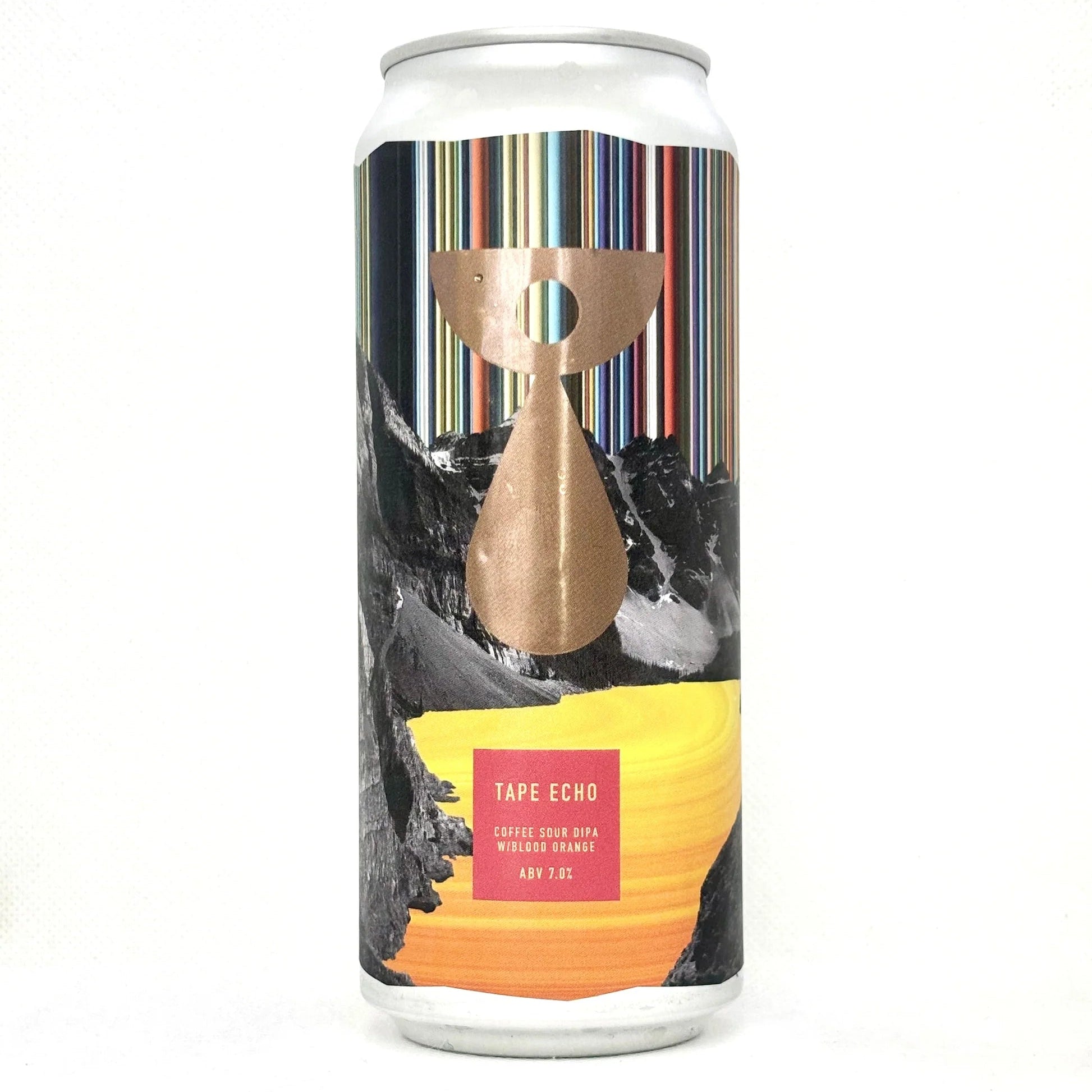 Teenage Brewing Tape Echo Sour IPA